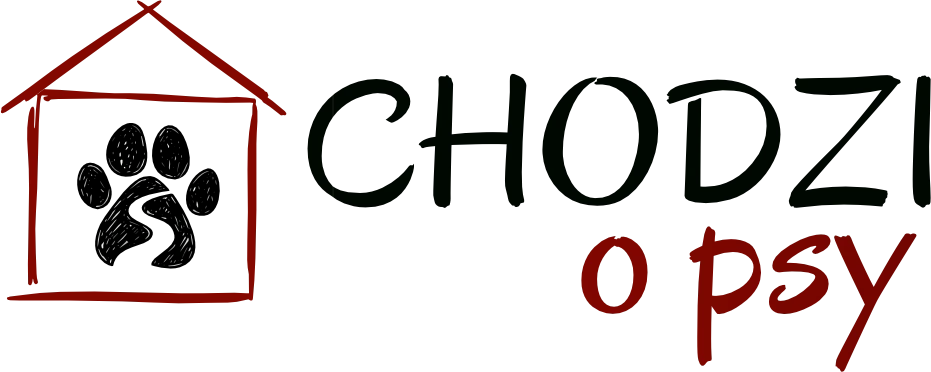 Chodzi o psy